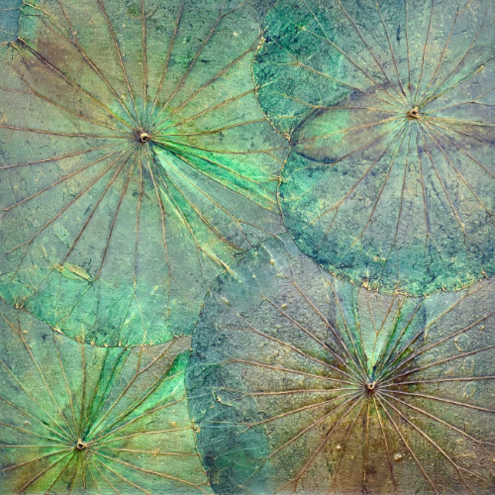 Wanddekor Lotus, grün - ca. 48x48x4 cm